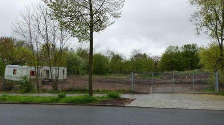 Im August werden vermutlich hier die ersten Flüchtlinge in eine Containerunterkunft an der Potsdamer Chaussee 101 in Zehlendorf einziehen.