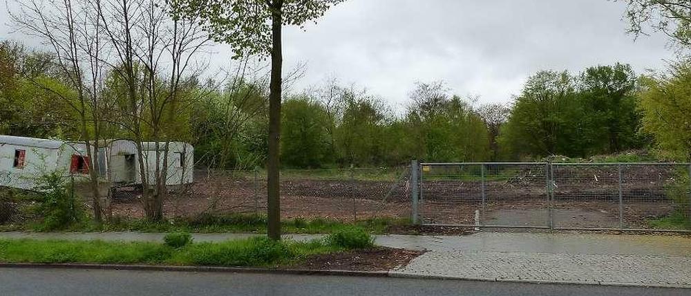 Im August werden vermutlich hier die ersten Flüchtlinge in eine Containerunterkunft an der Potsdamer Chaussee 101 in Zehlendorf einziehen.