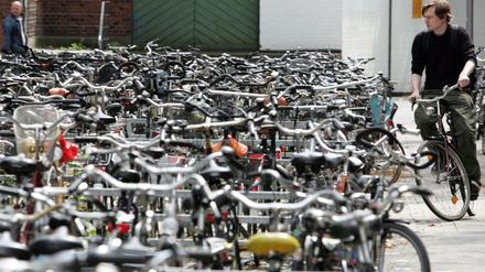 Qual der Wahl für Fahrraddiebe: Wo viele Fahrräder stehen, da ist auch die Auswahl für Fahrrad-Diebe groß. Und es fällt auch weniger auf, wenn sich jemand an einem Schloss zu schaffen macht.