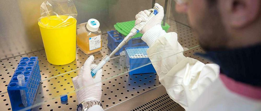Ein Mitarbeiter des Instituts für Tropenmedizin am Universitätsklinikum Tübingen (Baden-Württemberg) demonstriert die klinische Studienvorbereitung in einem Labor des Instituts.