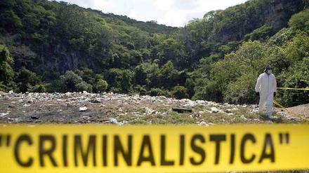 Ein abgesperrtes Waldstück in Mexiko. Nach den vermissten 43 Studenten wurde lange gesucht. 