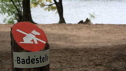 Bald ein Bild der Vergangenheit: Ab dem 15. Mai 2015 war das Hundeverbot am Schlachtensee und der Krummen Lanke in Kraft getreten. Dann hatte das Verwaltungsgericht das Verbot im Dezember gekippt. Nun ist das Verbot rechtskräftig