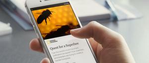 Ein Mobiltelefon, auf dem die App "Instant Articles" des sozialen Netzwerks Facebook läuft.