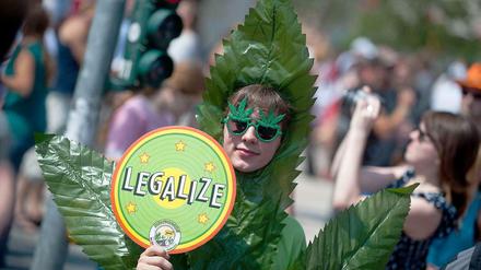 Hanf frei. In der Debatte um die regulierte Legalisierung von Cannabis gibt es mit Joachim Pfeiffer nun auch einen Unterstützer aus den Reihen der CDU-Bundestagsfraktion.