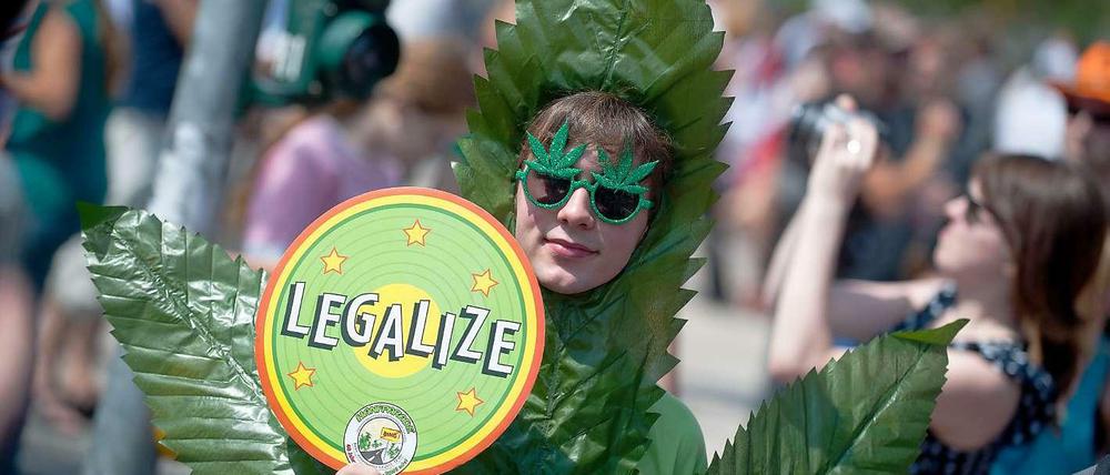 Hanf frei. In der Debatte um die regulierte Legalisierung von Cannabis gibt es mit Joachim Pfeiffer nun auch einen Unterstützer aus den Reihen der CDU-Bundestagsfraktion.