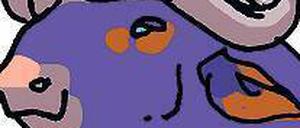 Gehörnter Riese: Der Kaffernbüffel.