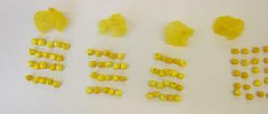 Die sichergestellten Drogen.