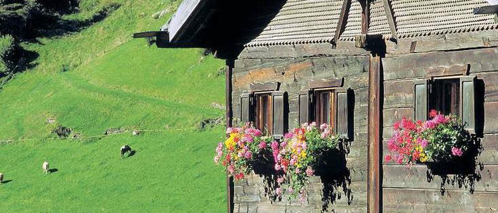 Sommerschmuck. Vinschgauer lieben Blumen. Jedes Bauernhaus wird reich bunt und verziert.