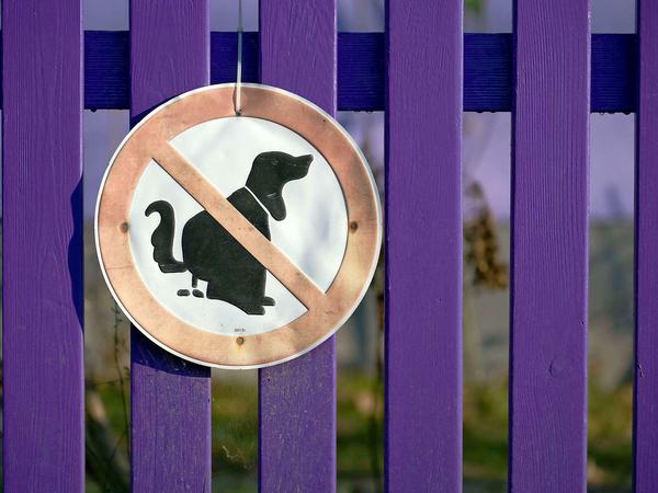 Manchmal dürfen Hunde gar nicht... Mit Tüte oder ohne. Aber grundsätzlich gilt: Der Kot muss in die Tüte, und die Tüte muss entsorgt werden.