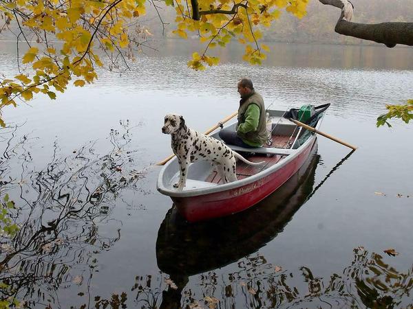 Dürfen denn die Hunde noch auf den See... demnächst?