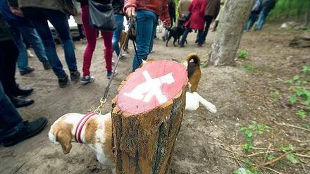 Beinchenarbeit. Am Schlachtensee ist der Streit um das Hundeverbot mittlerweile uferlos. 
