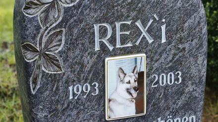 Das Grab eines Hundes. In Essen und Koblenz können sich Mensch und Tier ab sofort gemeinsam beerdigen lassen. 