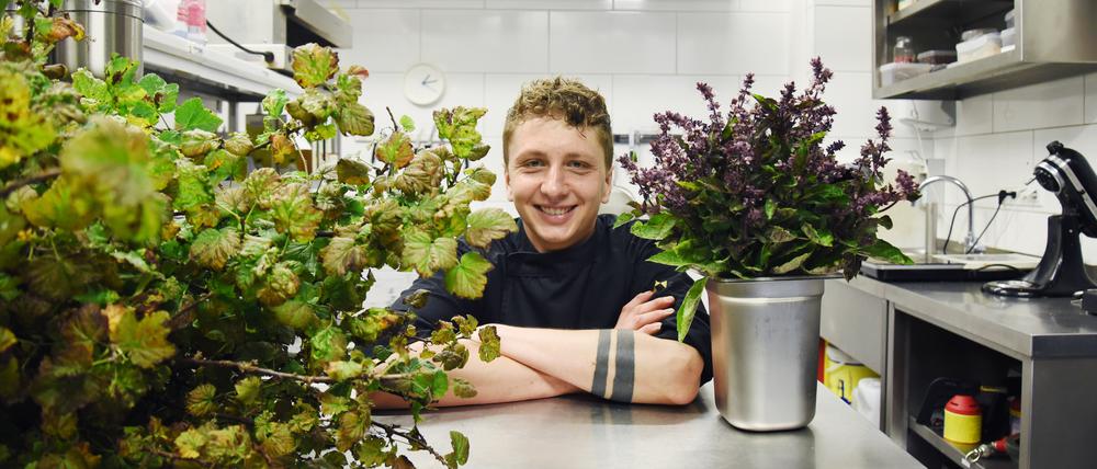 Lecker Schafgarbe. Nikodemus Berger verwendet bei der diesjährigen „Food Week“ viele Wildkräuter.