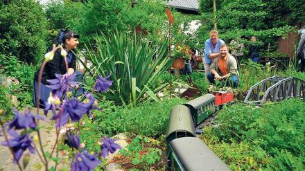 Bahn frei. Durch die grüne Hofoase von Jessi und Hendrik Rosenthal an der Kirchgasse 52 im Böhmischen Dorf fährt ein elektrischer Zug. 