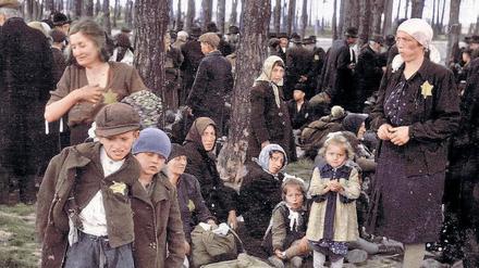 Im Vorhof der Hölle: Die Brüder von Irene Weiss, Reuven (links) und Gershon Fogel (2. von links), und hinter ihnen sitzend ihre Mutter Leah am Tag ihrer Ankunft in Auschwitz-Birkenau. Wenig später wurden all diese Menschen in den Gaskammern ermordet. 