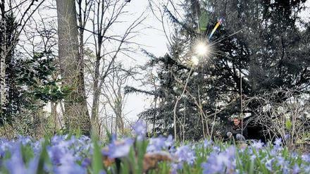 Dauercamper. Ein Park in Wedding, ein Zelt unter einer Tanne. Das ist seit mehr als einem Jahr Christoph Gregers Zuhause. 