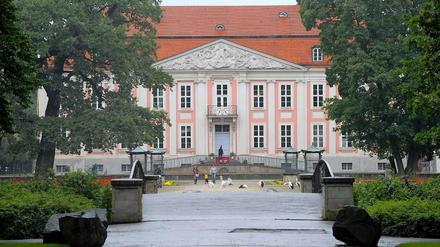Störche und Besucher vor dem Schloss Friedrichsfelde im Berliner Tierpark.