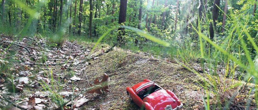 Nur gespielt. Ein Spielzeugauto dort, wo einmal die Südkurve einer Rennstrecke begonnen wurde zu bauen.
