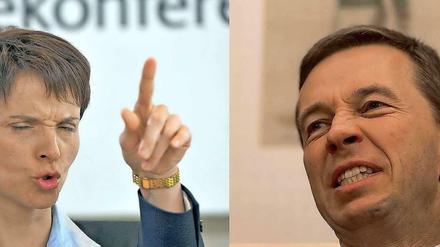 Frauke Petry und Bernd Lucke streiten um die Macht in der AfD. 