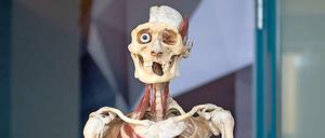 Mit Gunter von Hagens' "Körperwelten" hat man die eigene Endlichkeit ständig vor Augen.