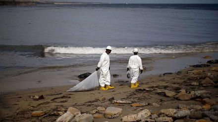 Die Reinigungsarbeiten an den Stränden in Kalifornien laufen auf Hochtouren.
