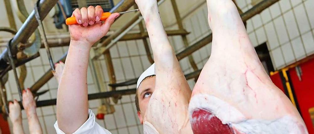 Fleischer bei der Arbeit. Politiker in Deutschland warnen davor, dass Klonfleisch nicht verboten wird.