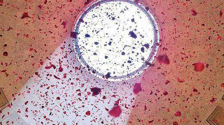 Zwölf Uhr mittags. Das Pantheon versöhnt seit altersher die antike mit der christlichen Welt. Ganz besonders an Pfingssonntag, wenn es rote Blütenblätter aus dem Himmelsrund der Kuppel regnet.