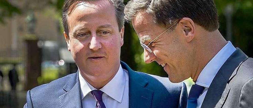Besuch in Den Haag. Der britische Regierungschef David Cameron (links) und sein niederländischer Amtskollege Mark Rutte am Donnerstag.