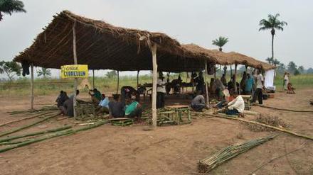 Renzo Martens "Institute for Human Activities" im Kongo.