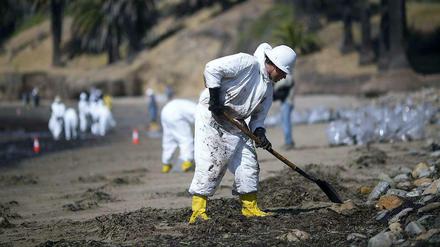 Die Reinigungsarbeiten an der Küste vor Santa Barabara sind nach der schweren Ölpest in vollem Gang.
