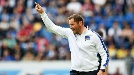 Weiter geht's: Pal Dardai.