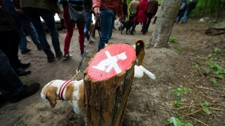 Pssssssssst. Hund am Schlachtensee, Herrchen total frech. 