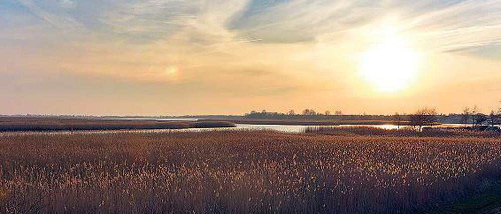Boddenlandschaft, nur Schilf, Wasser und Himmel. Wer hier fotografiert, muss sich Zeit nehmen.