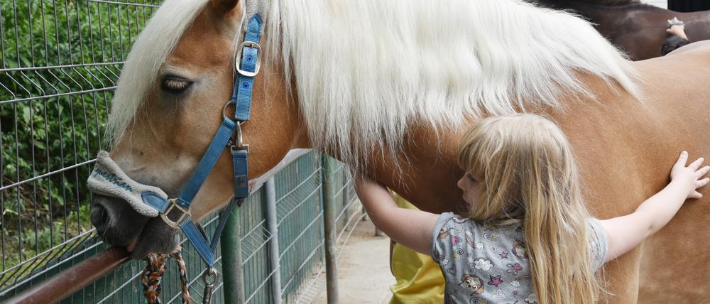 Hoch aufs Ross. Kinder lernen reiten während der Sommerferien.
