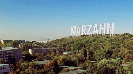 Marzahn Hills forever: Eine Initiative will auf den Ahrensfelder Bergen Hollywood nachmachen - um das miese Image des Stadtteils aufzuwerten.
