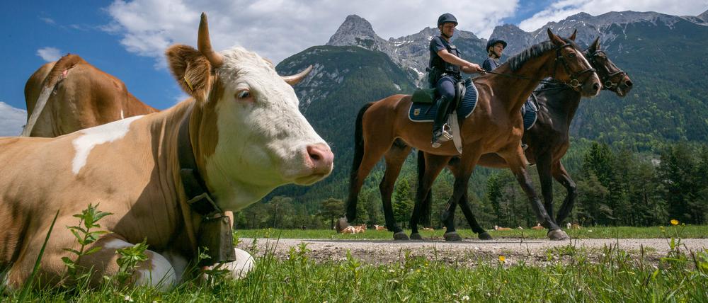 Schönes Bayern. Zum G-7-Gipfel macht Horst Seehofer kräftig Werbung für den Freistaat.