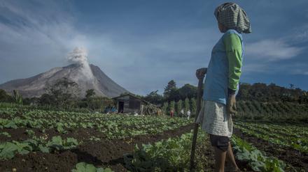 Eine Farmerin in Indonesien schaut sich den Ausbruch des Vulkans Sinabung an. 3000 Einwohner der Insel Sumatra wurden in Sicherheit gebracht.