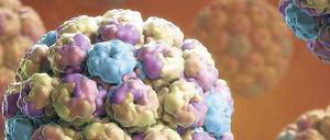 Ursprung des Lebens. Viren sind die Grundlage der Biologie und damit auch des Menschen. Das meint Karin Mölling.