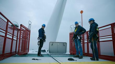 Geschredderte Vögel. Auf einer Offshore-Anlage in der Nordsee sucht Hauptkommissar Stedefreund nach Hinweisen zum Verschwinden des Umweltaktivisten und findet tote Tiere.