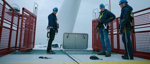 Geschredderte Vögel. Auf einer Offshore-Anlage in der Nordsee sucht Hauptkommissar Stedefreund nach Hinweisen zum Verschwinden des Umweltaktivisten und findet tote Tiere.