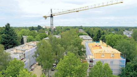 Viele verwurzelte Mieter. Die Genossenschaft Märkische Scholle investiert 72 Millionen Euro in die Sanierung von 841 Wohnungen in Lichterfelde-Süd. Eine energieeffiziente „Gartenstadt für alle Generationen“ soll entstehen. 