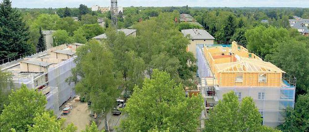 Viele verwurzelte Mieter. Die Genossenschaft Märkische Scholle investiert 72 Millionen Euro in die Sanierung von 841 Wohnungen in Lichterfelde-Süd. Eine energieeffiziente „Gartenstadt für alle Generationen“ soll entstehen. 