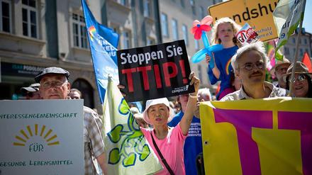 Die Anti-TTIP Proteste erfahren großen Zulauf. Und auch im EU-Parlament nimmt die Zahl der Kritiker zu.