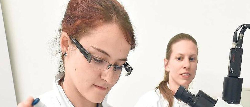 Zukunftsfähig. Nur Anträge, die auch konkrete Ideen für die Lehre und für Nachwuchsforscher haben, sollen im neuen Wettbewerb gestellt werden dürfen. 