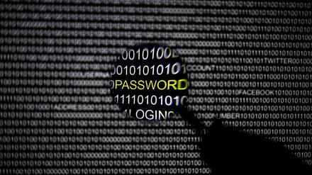 Die Cyberattacke auf die Website der US-Armee ist ein weiterer in einer Reihe von Hackerangriffen auf amerikanische Behördenseiten.