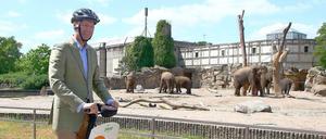 Tierpark-Direktor auf Erkundungsfahrt: Andreas Knierim testet die neuen Segways, die Elefanten sind unbeeindruckt.