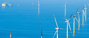 Umstritten. Windräder auf dem Meer töten zahlreiche Zugvögel und vermutlich auch Fledermäuse. 