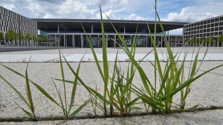Auf dem Willy-Brandt-Platz vor dem Terminal des weiterhin noch nicht eröffneten Hauptstadtflughafens BER sprießt zur Zeit das Unkraut.