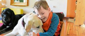 Der kleine, schwerbehinderte Luka spielt mit den Therapiehunden Clea (weißes Fell) und Anouk in der Praxis der Logopädin in Berlin-Zehlendorf.