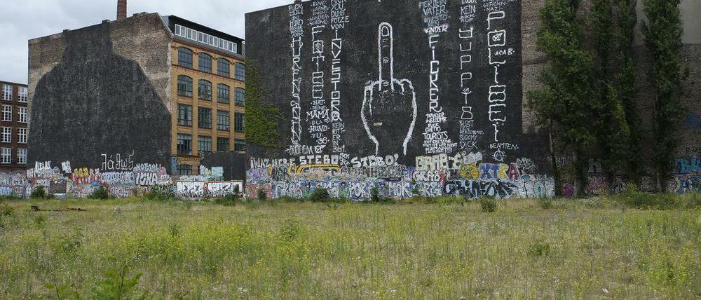 Ein riesiger Stinkefinger bedeckt nun die Brandschutzmauer an der Cuvrybrache.